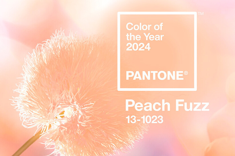 Peach Fuzz: the color of 2024