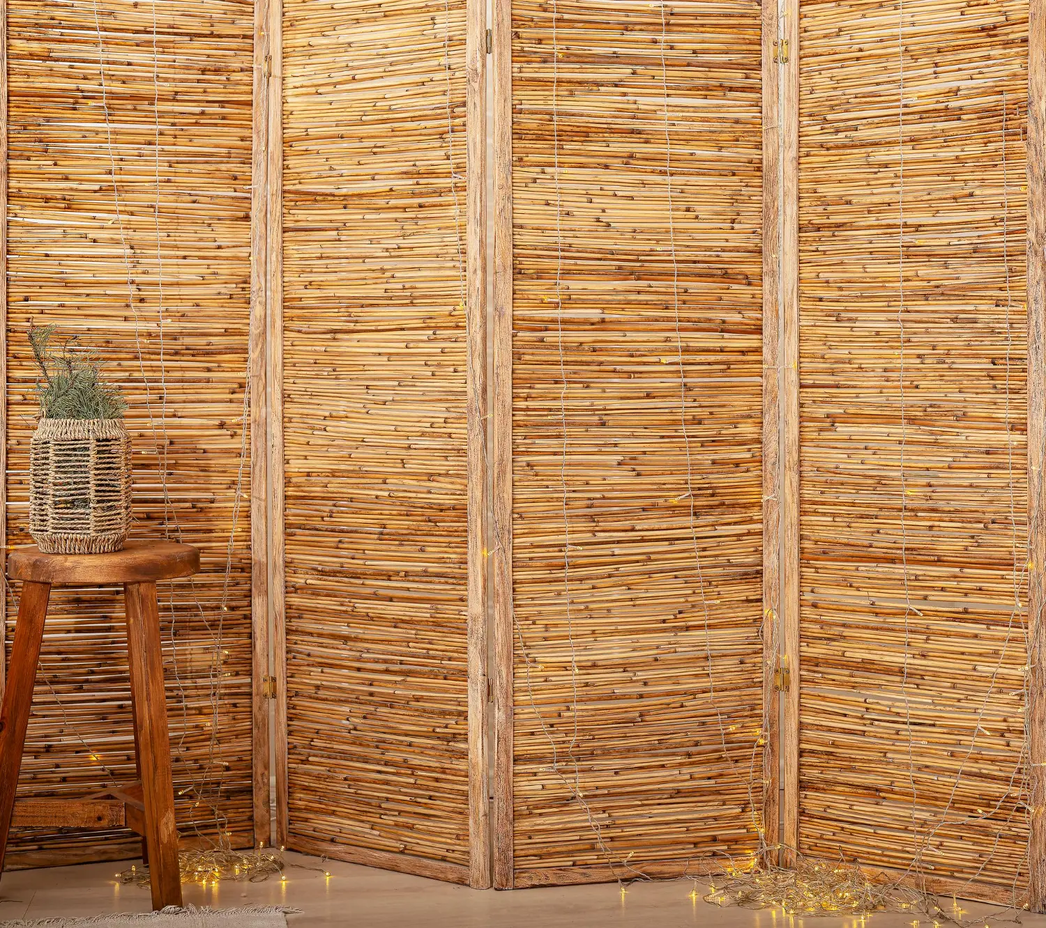 Bambu